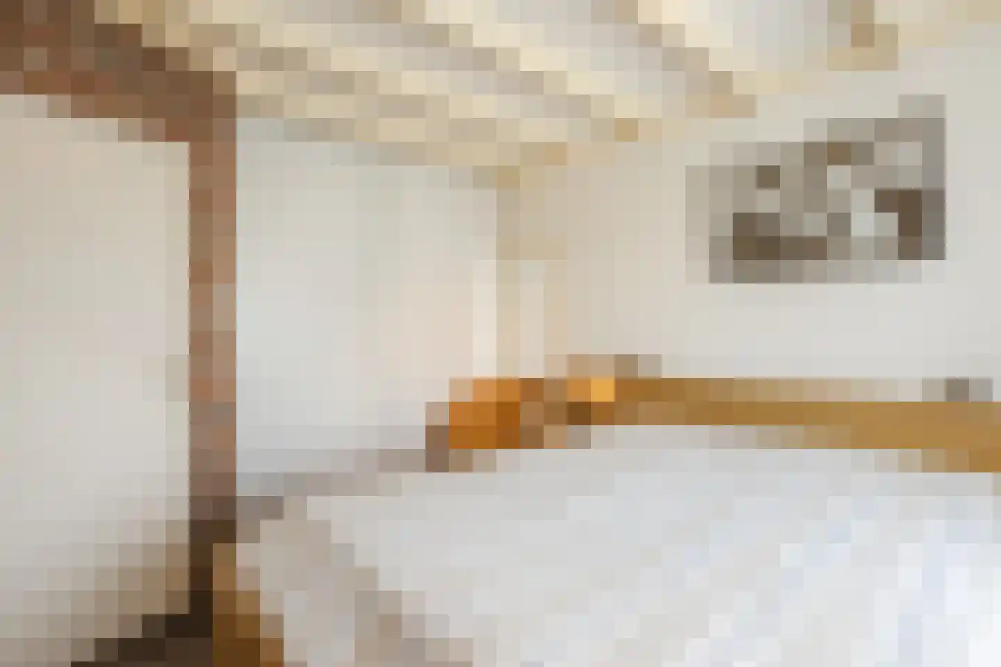 De Elzen 18 Vroomshoop thumbnail 29