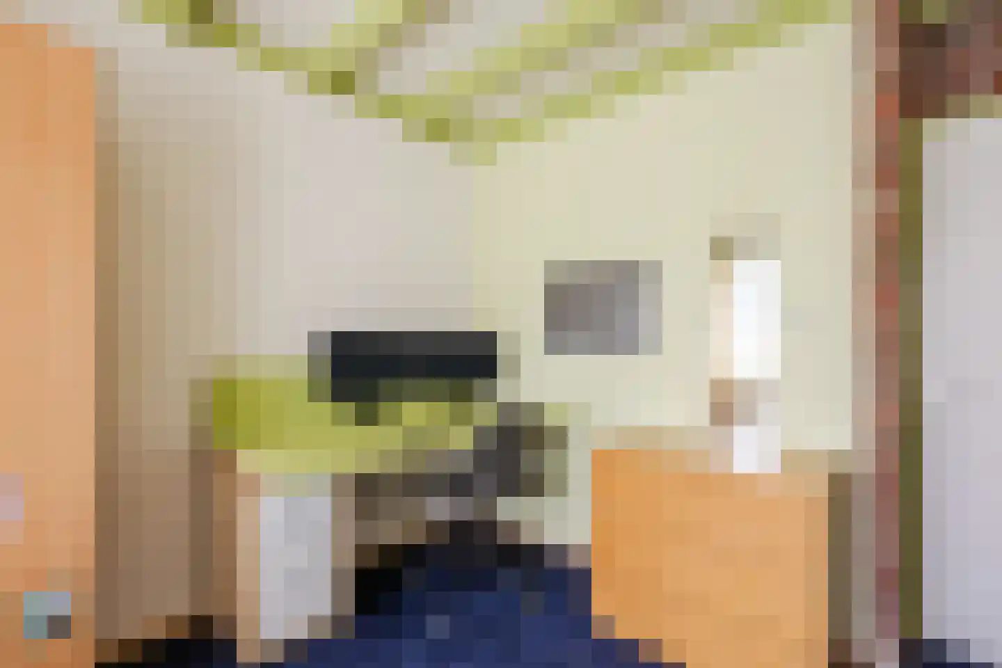 De Elzen 18 Vroomshoop thumbnail 35