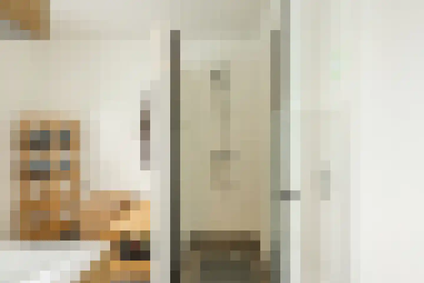 De Elzen 18 Vroomshoop thumbnail 37