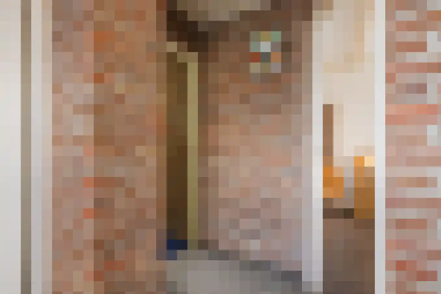 De Elzen 18 Vroomshoop thumbnail 38