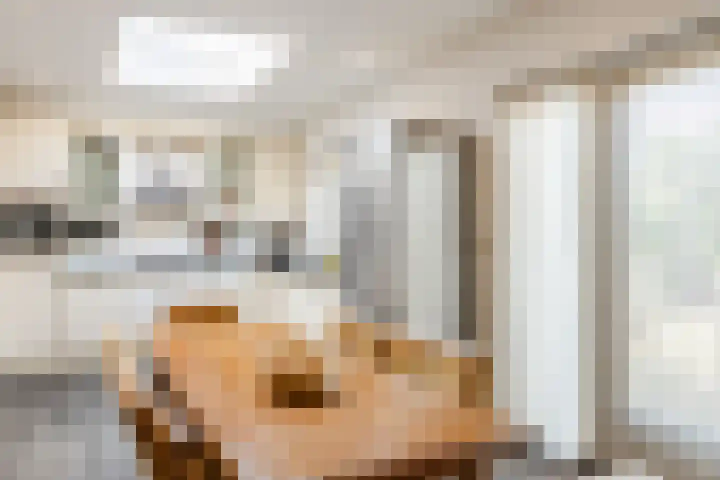 De Elzen 18 Vroomshoop thumbnail 4