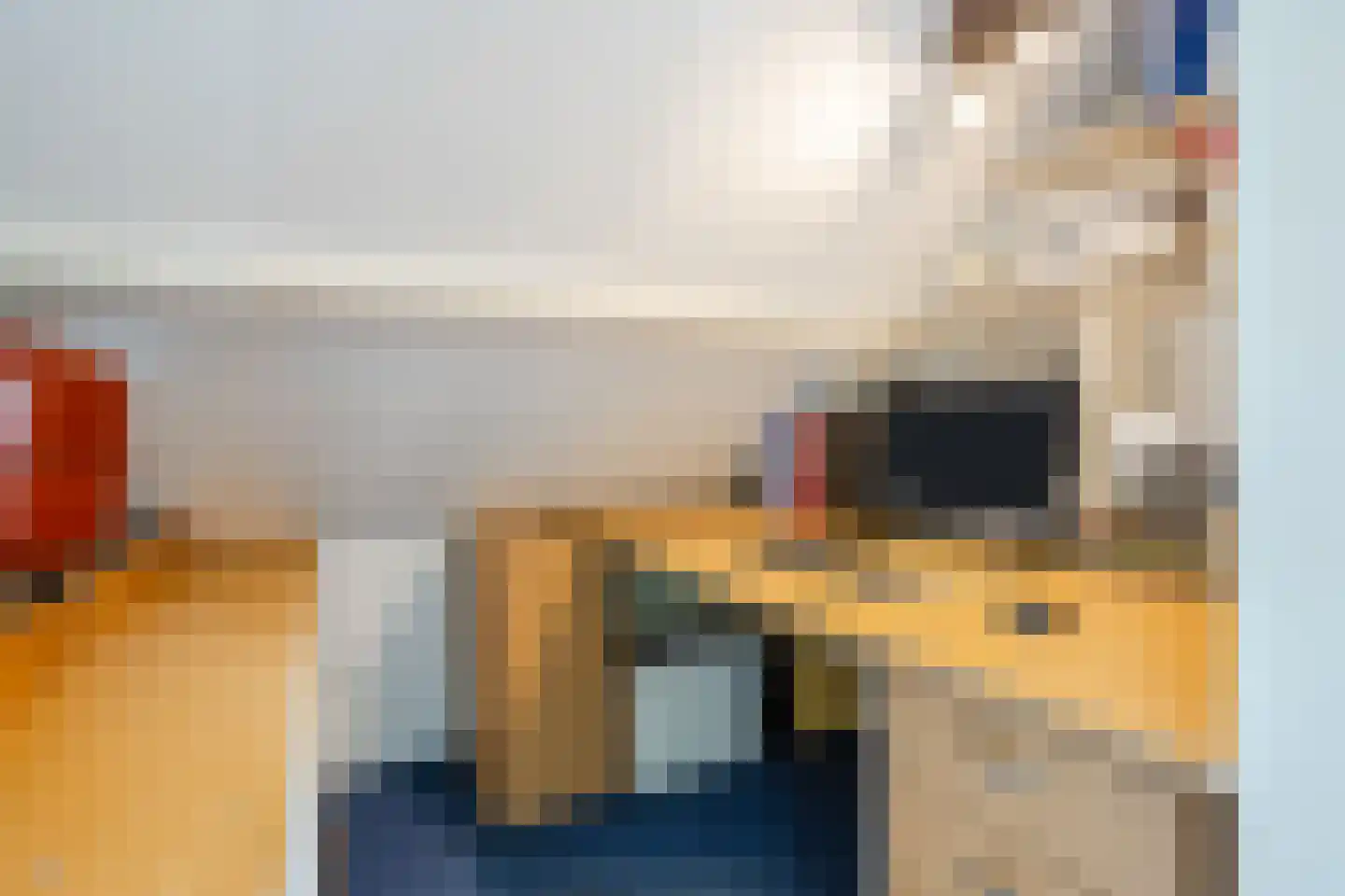 De Elzen 18 Vroomshoop thumbnail 41