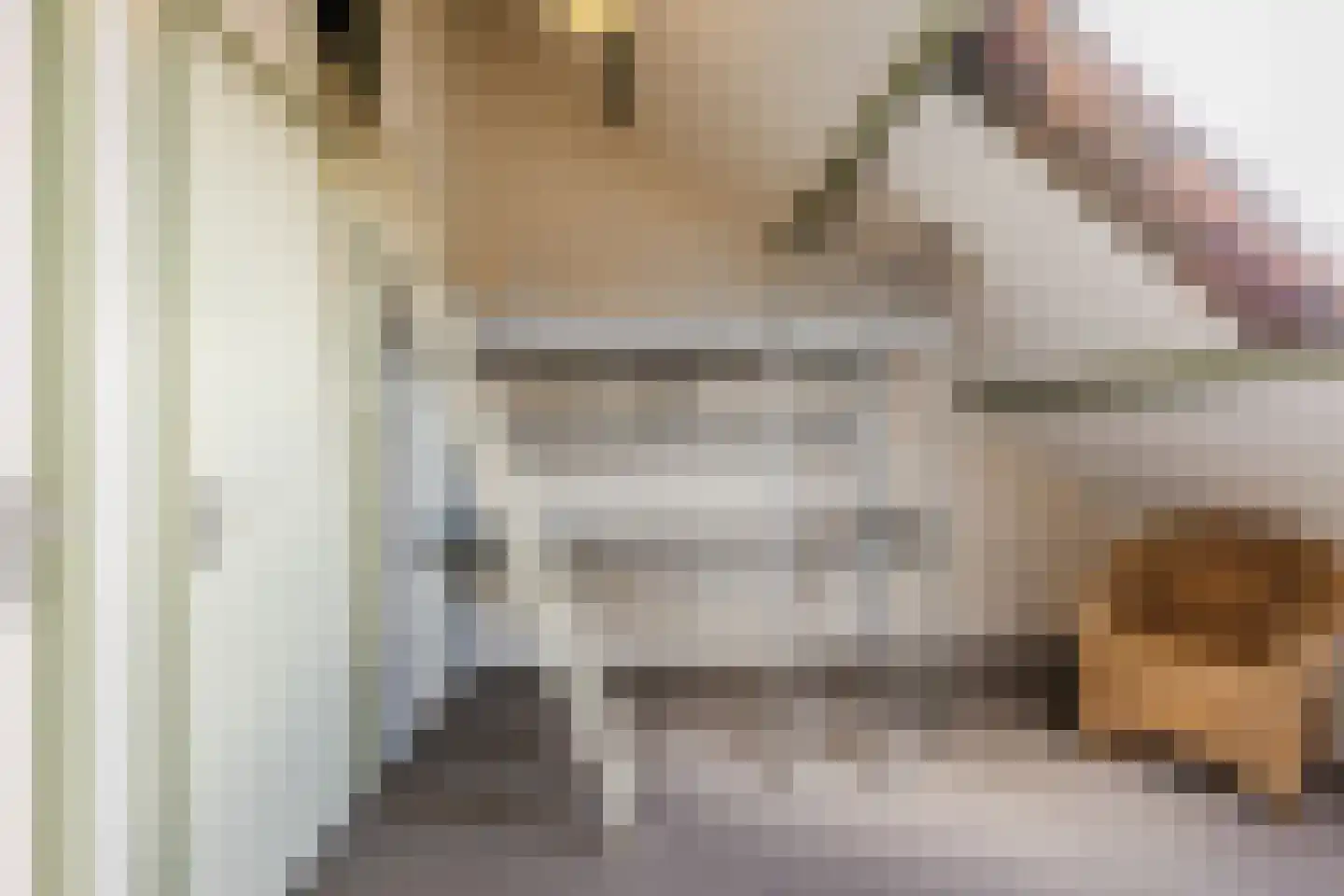 De Elzen 18 Vroomshoop thumbnail 42