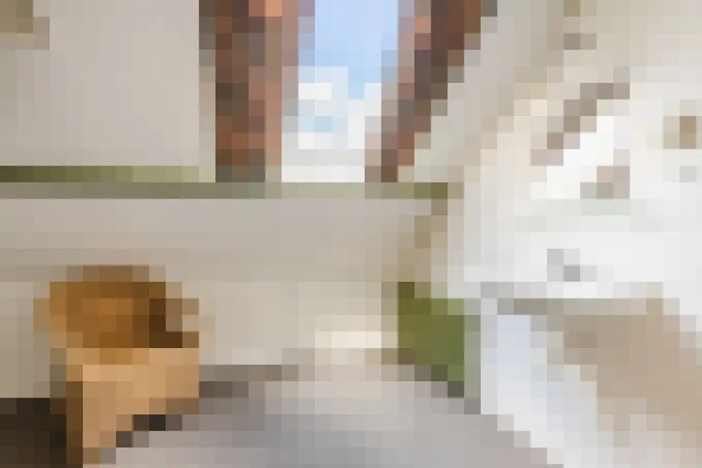 De Elzen 18 Vroomshoop thumbnail 43