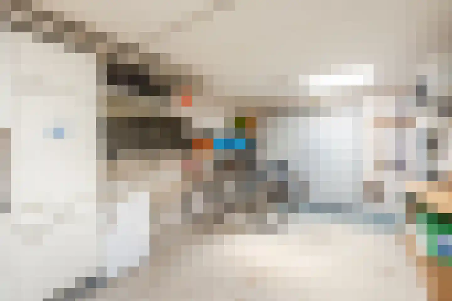 De Elzen 18 Vroomshoop thumbnail 46