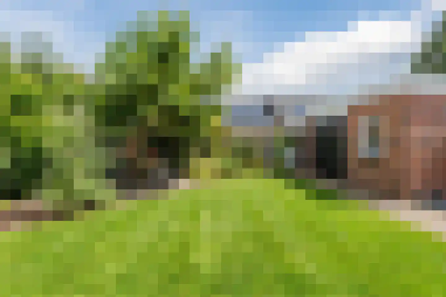 De Elzen 18 Vroomshoop thumbnail 47