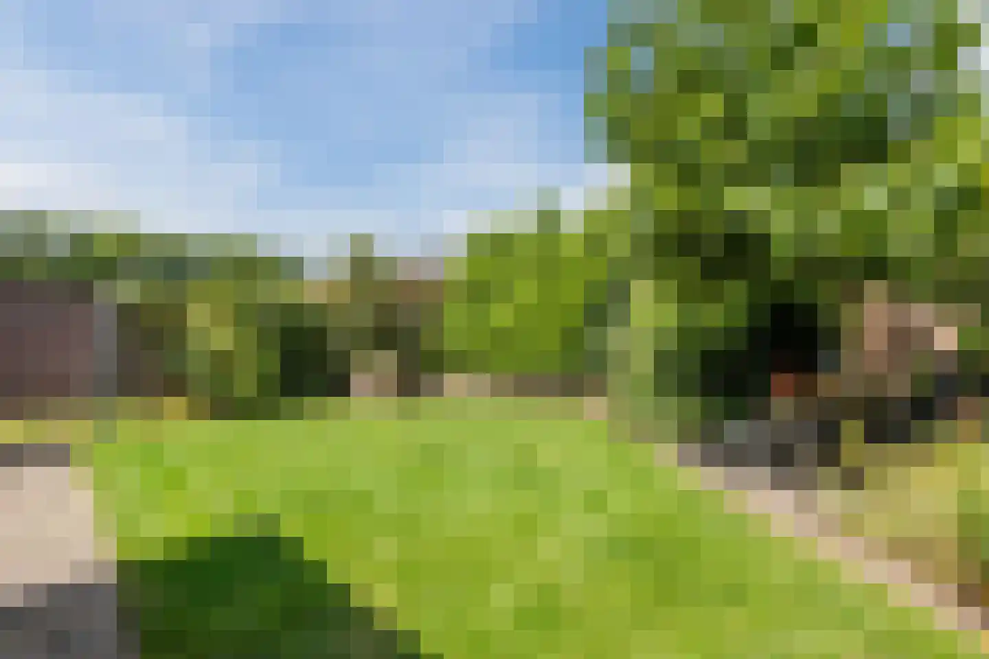 De Elzen 18 Vroomshoop thumbnail 48