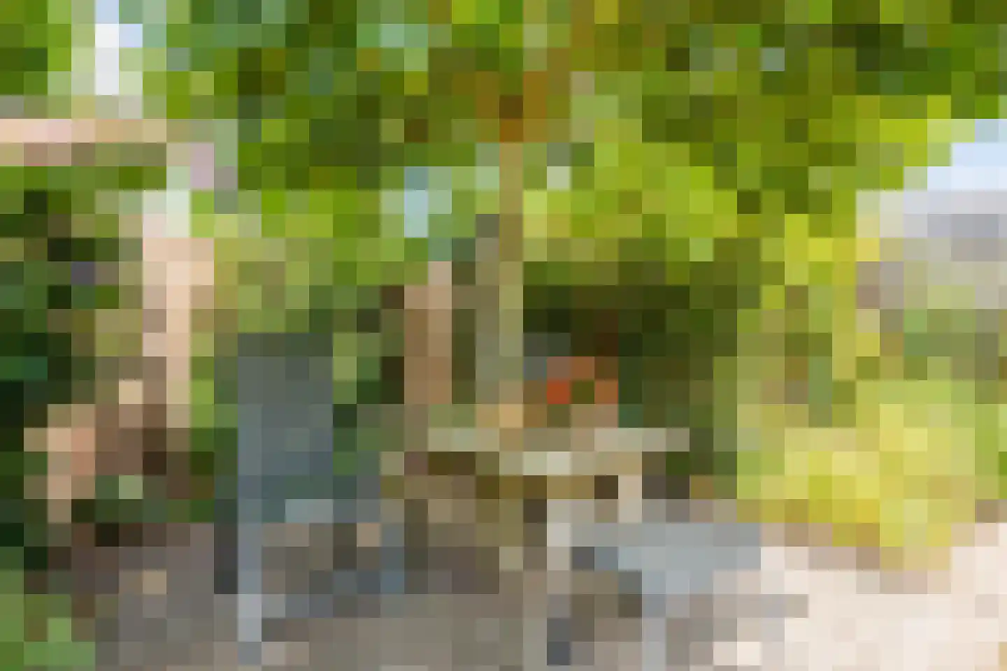 De Elzen 18 Vroomshoop thumbnail 49