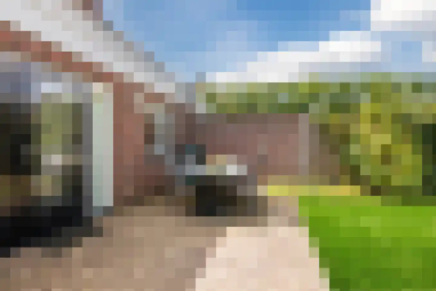 De Elzen 18 Vroomshoop thumbnail 50
