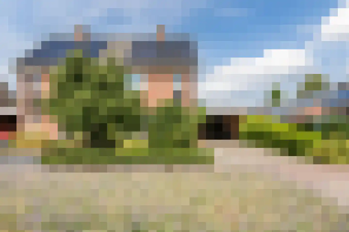 De Elzen 18 Vroomshoop thumbnail 54