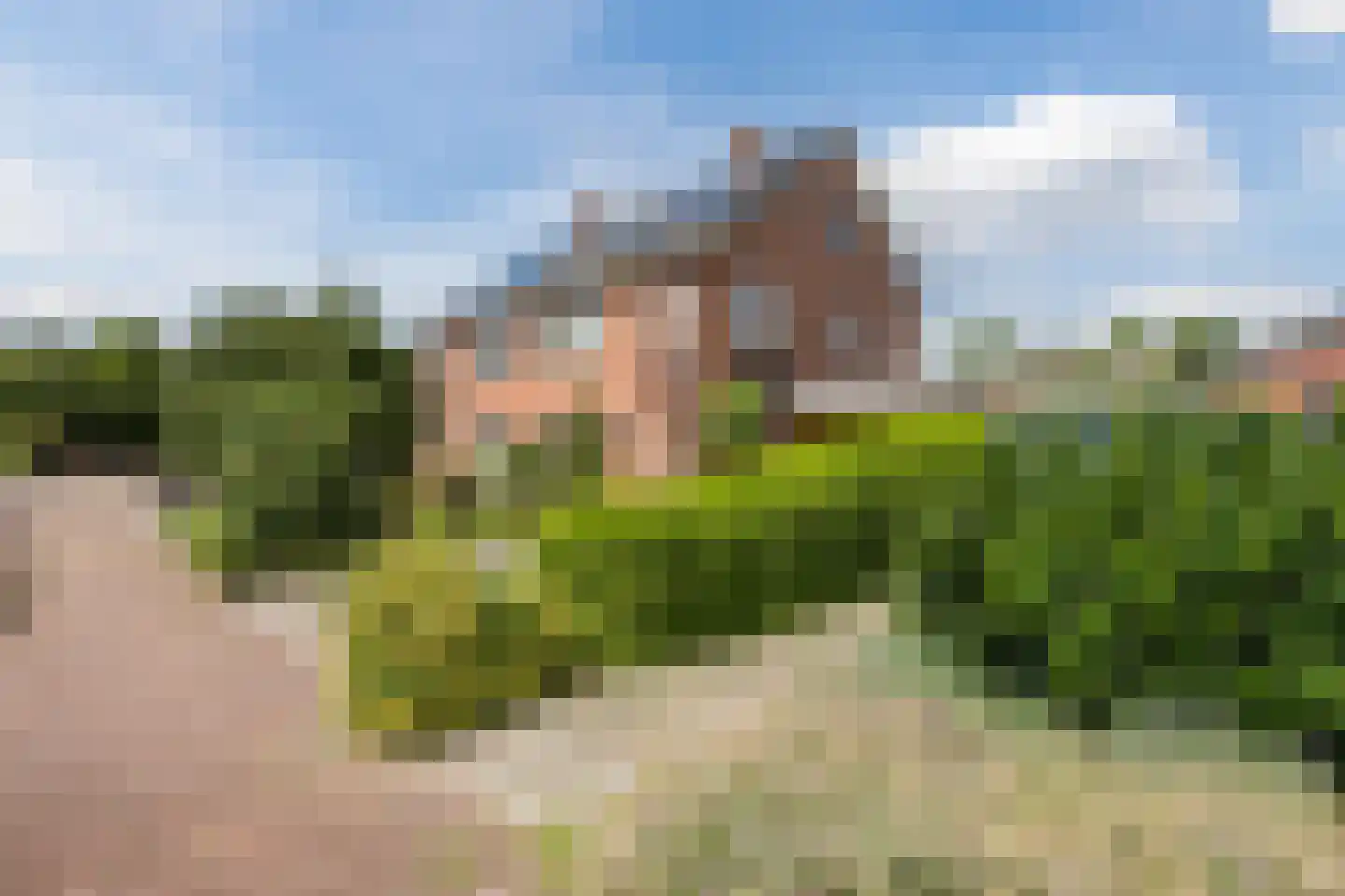 De Elzen 18 Vroomshoop thumbnail 55