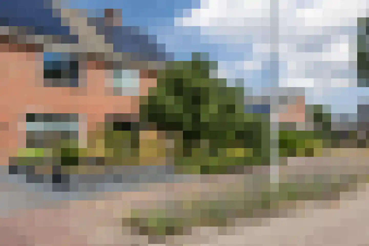 De Elzen 18 Vroomshoop thumbnail 56
