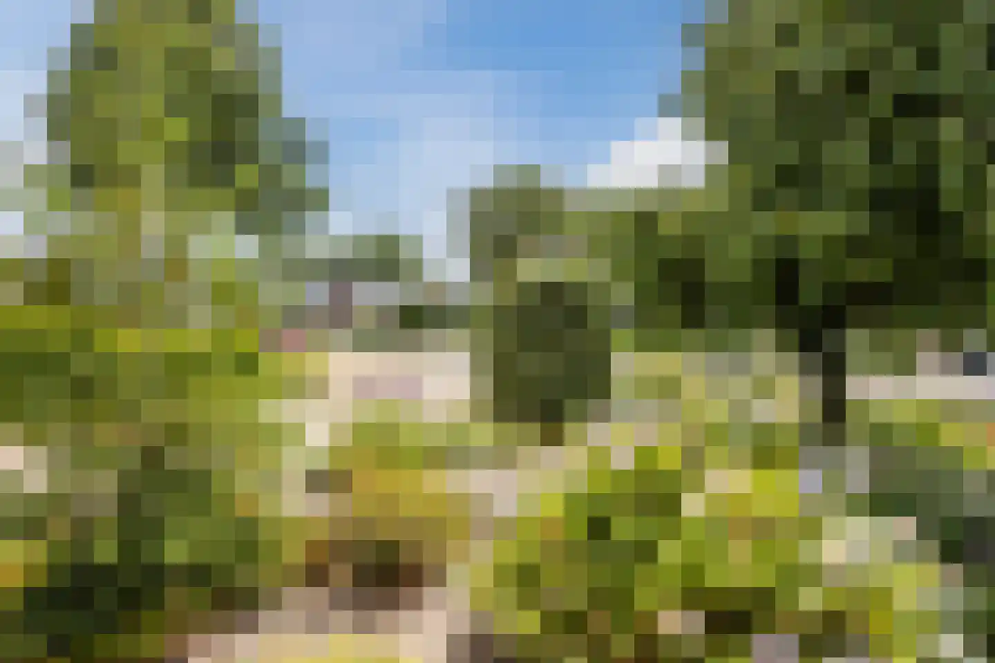 De Elzen 18 Vroomshoop thumbnail 59