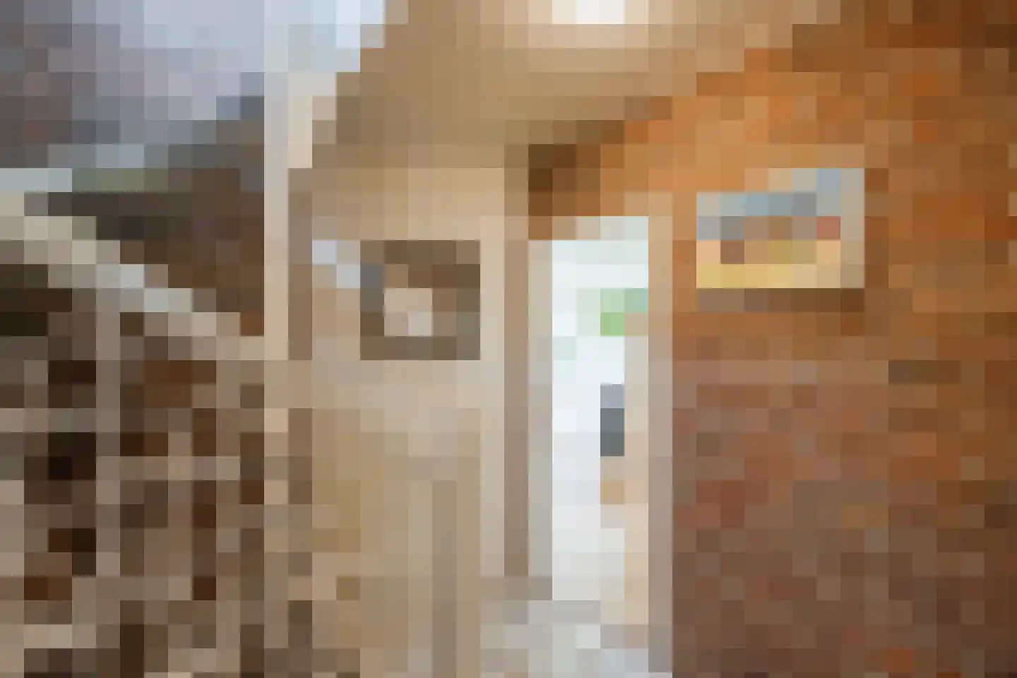 De Elzen 18 Vroomshoop thumbnail 6
