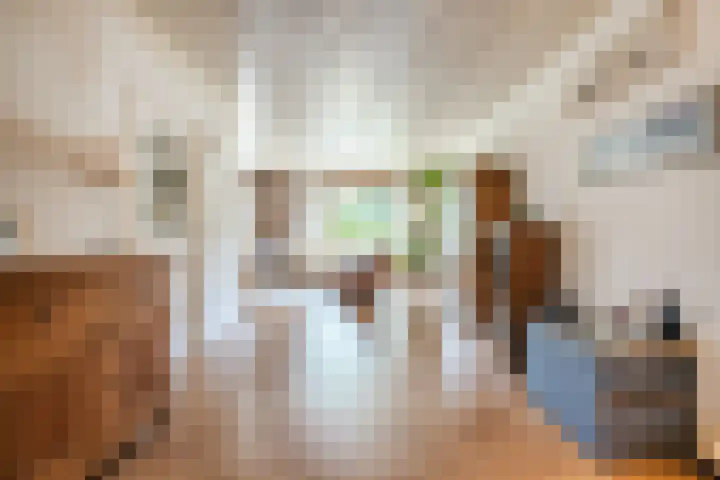 De Elzen 18 Vroomshoop thumbnail 7