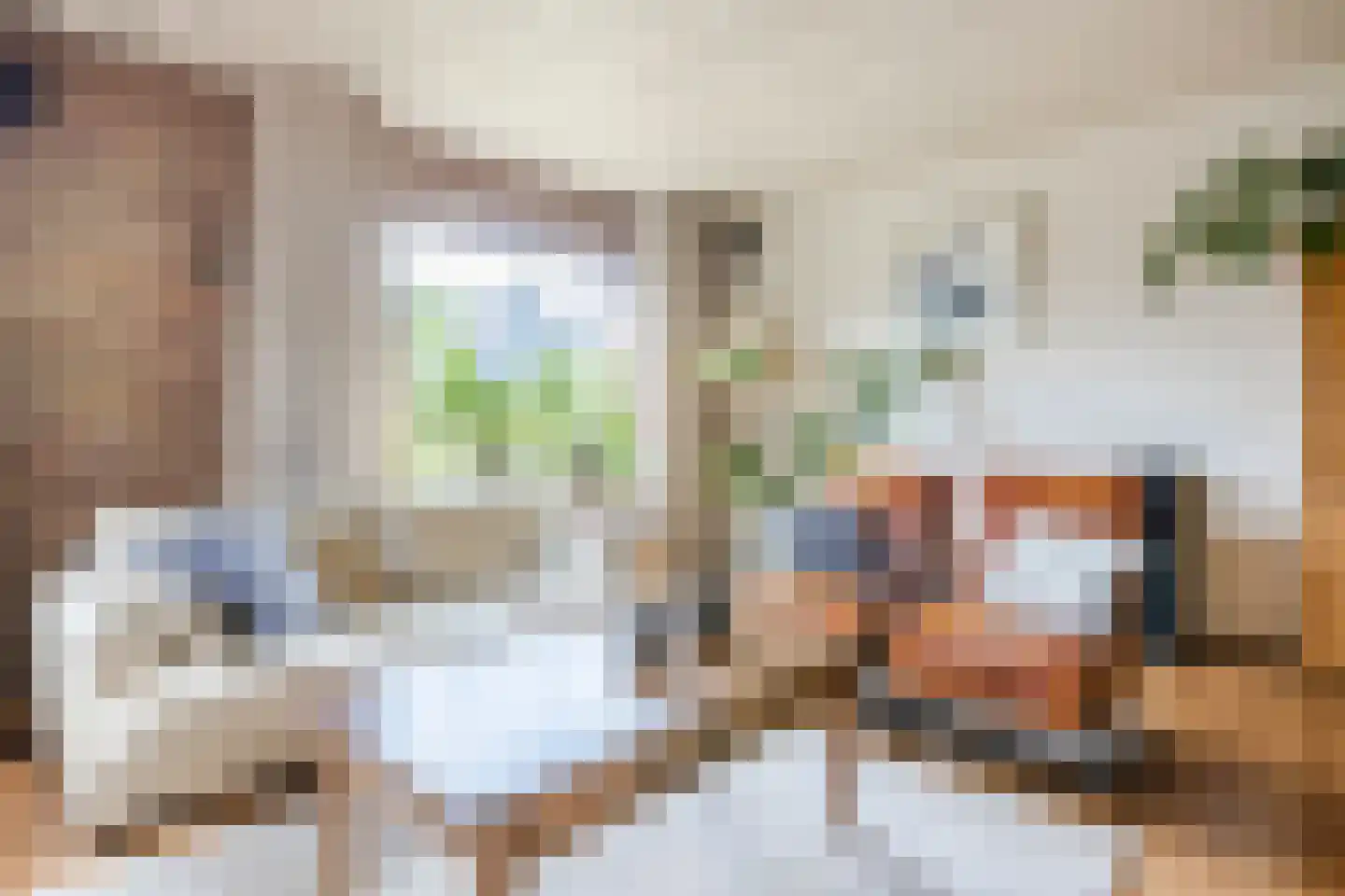De Elzen 18 Vroomshoop thumbnail 8