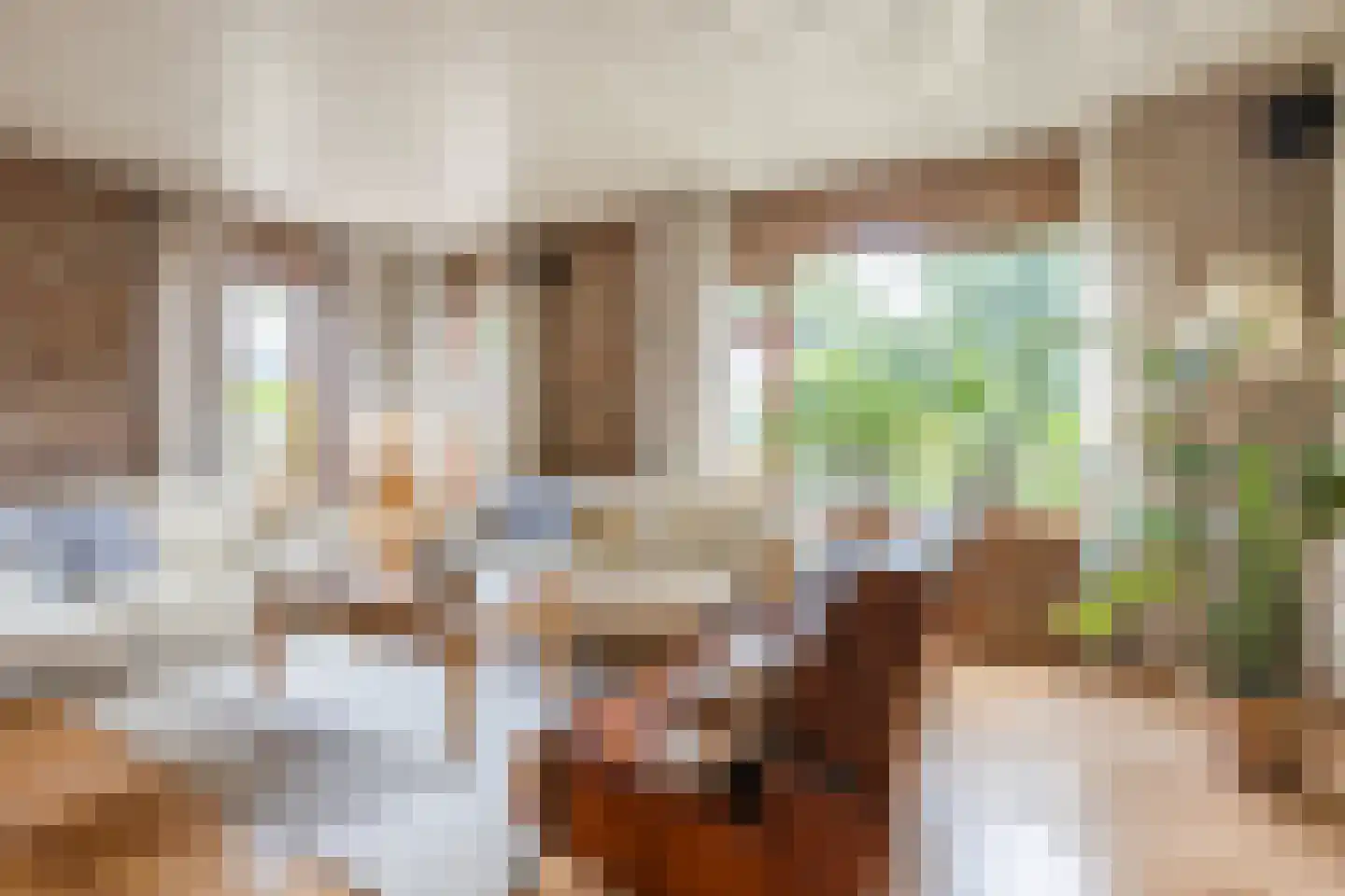 De Elzen 18 Vroomshoop thumbnail 9