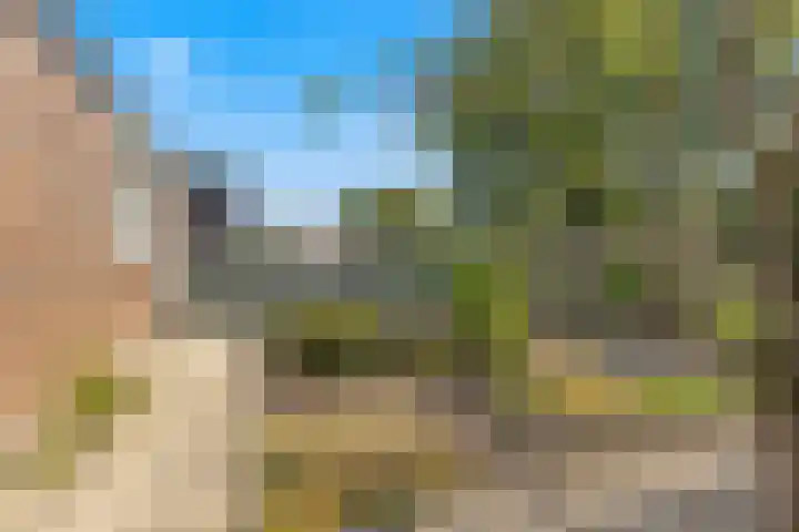 De Elzen 24 Lekkerkerk foto 2