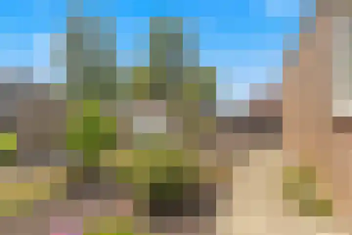 De Elzen 24 Lekkerkerk thumbnail 32