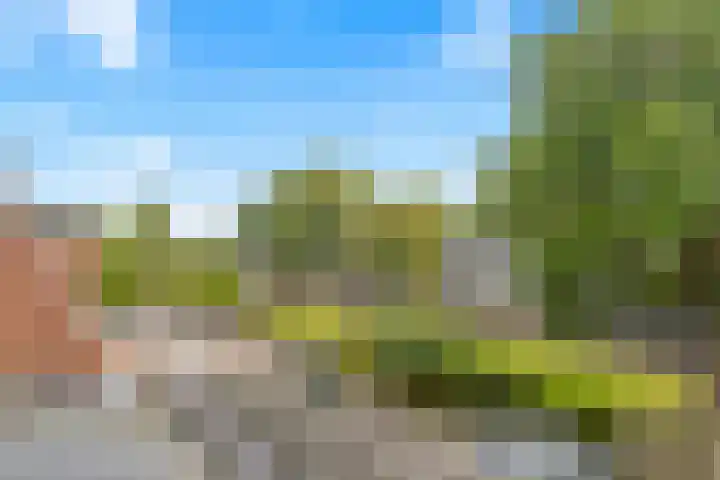 De Elzen 24 Lekkerkerk thumbnail 37