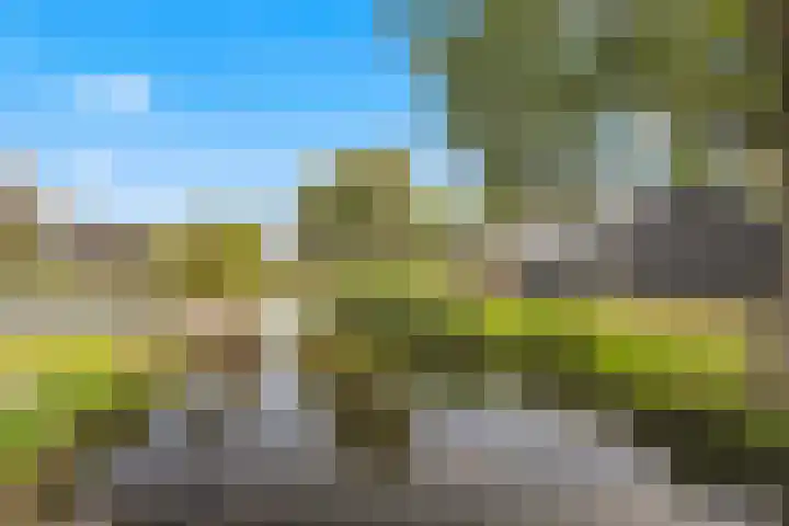 De Elzen 24 Lekkerkerk thumbnail 38