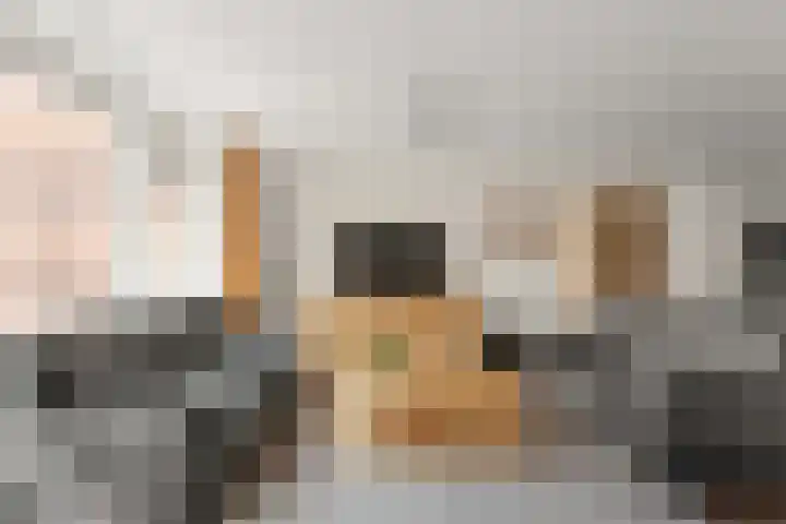 De Elzen 24 Lekkerkerk thumbnail 7