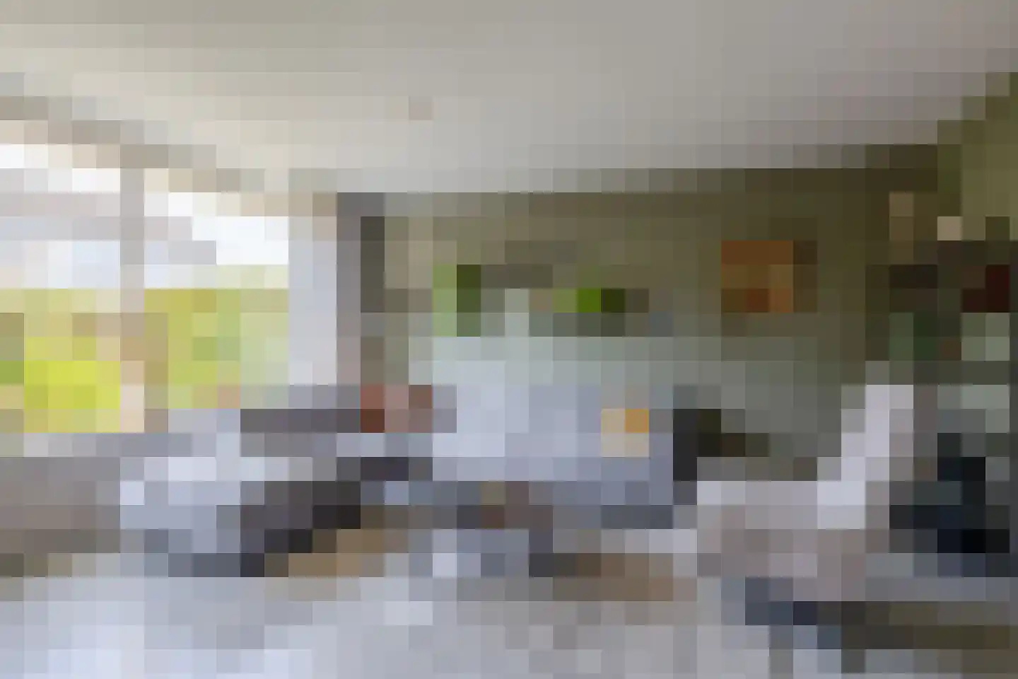 De Elzen 52 Lekkerkerk thumbnail 10