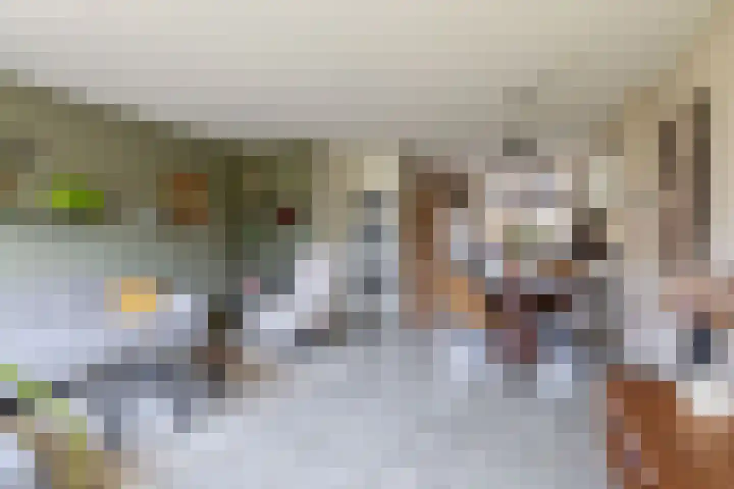 De Elzen 52 Lekkerkerk thumbnail 11