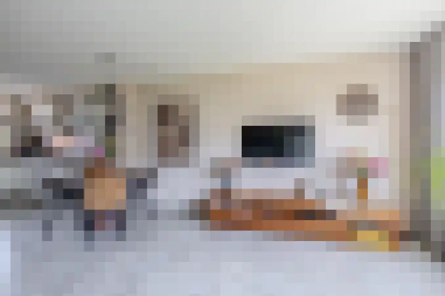 De Elzen 52 Lekkerkerk thumbnail 12