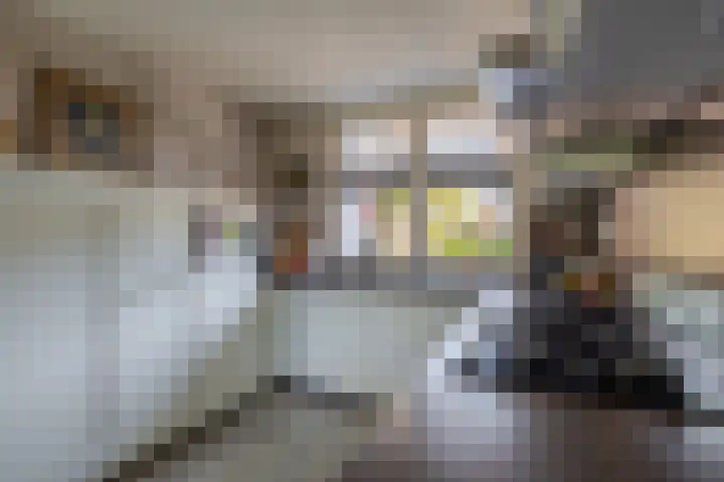 De Elzen 52 Lekkerkerk thumbnail 15