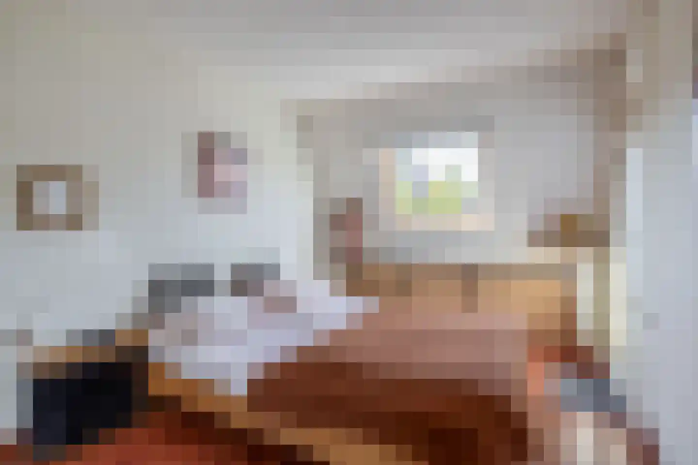 De Elzen 52 Lekkerkerk thumbnail 21