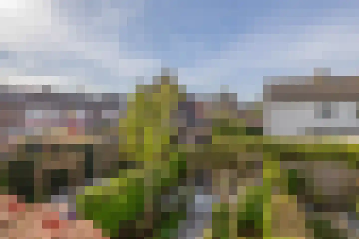 De Elzen 52 Lekkerkerk thumbnail 38