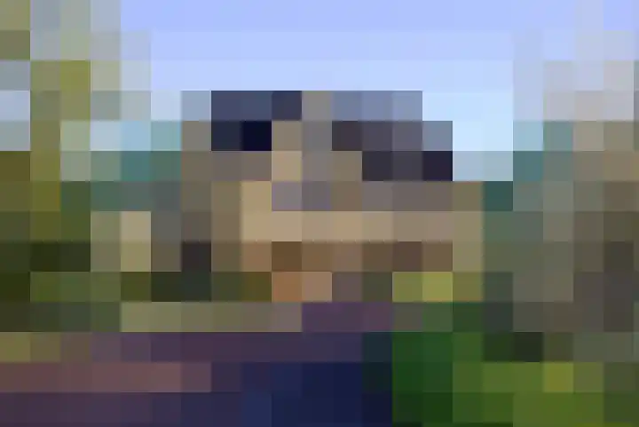 De Elzen 70 Lelystad thumbnail 4