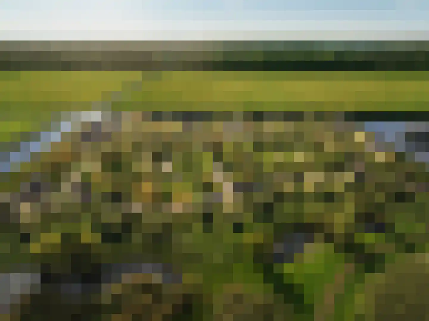 De Elzen 70 Lelystad thumbnail 7