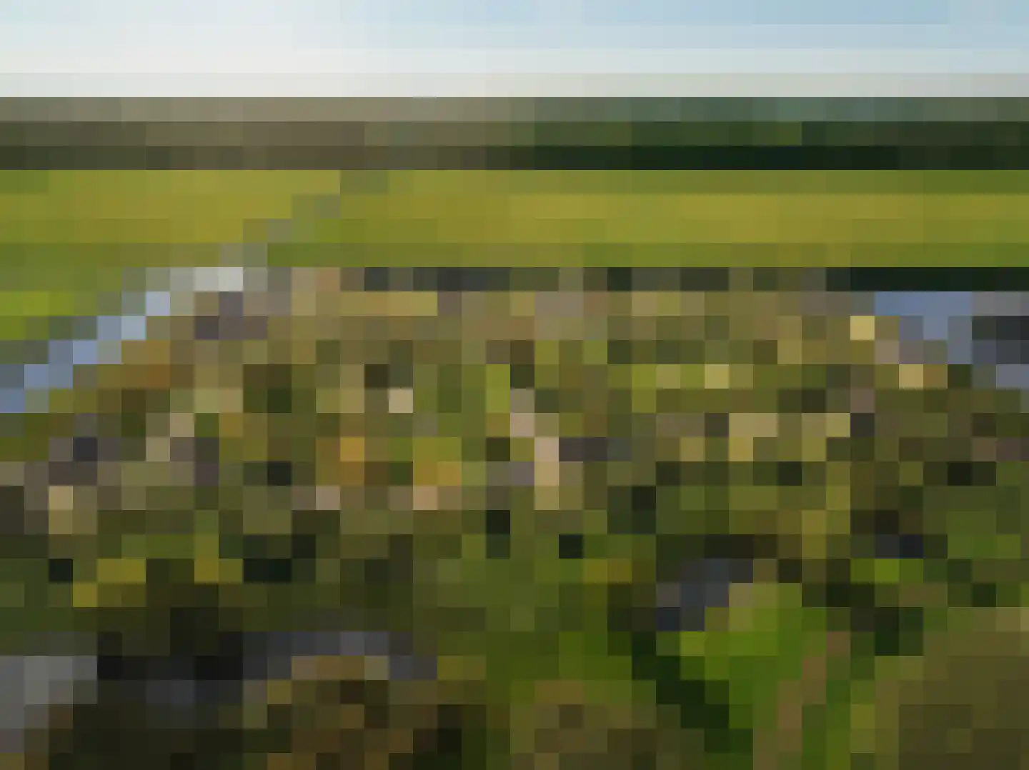 De Elzen 8 Lelystad thumbnail 7