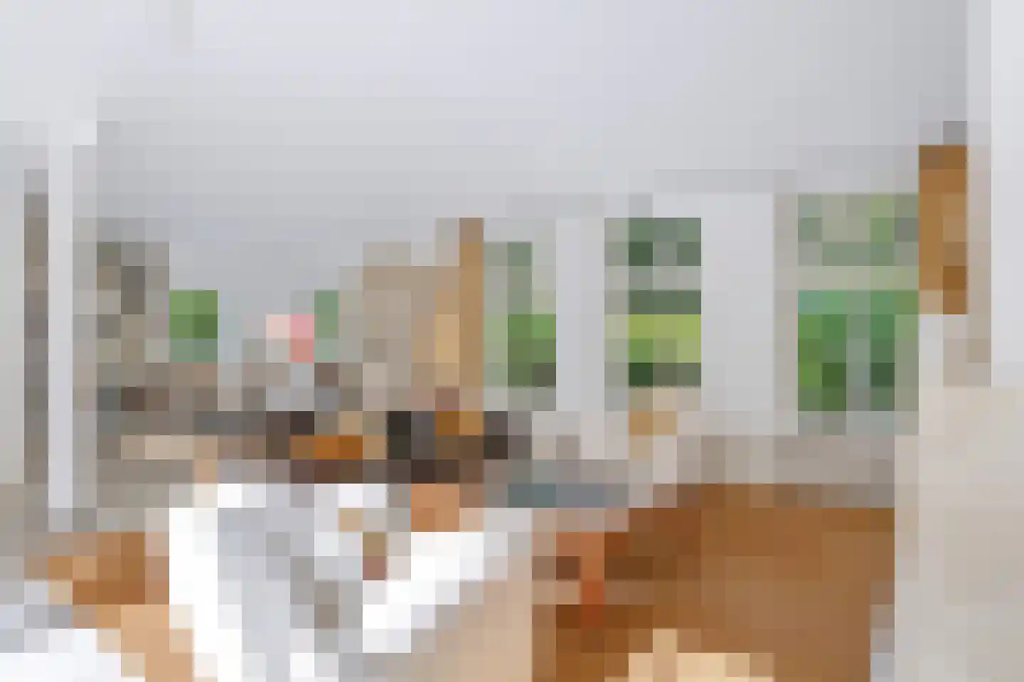 De Elzent 1 Dorst thumbnail 11