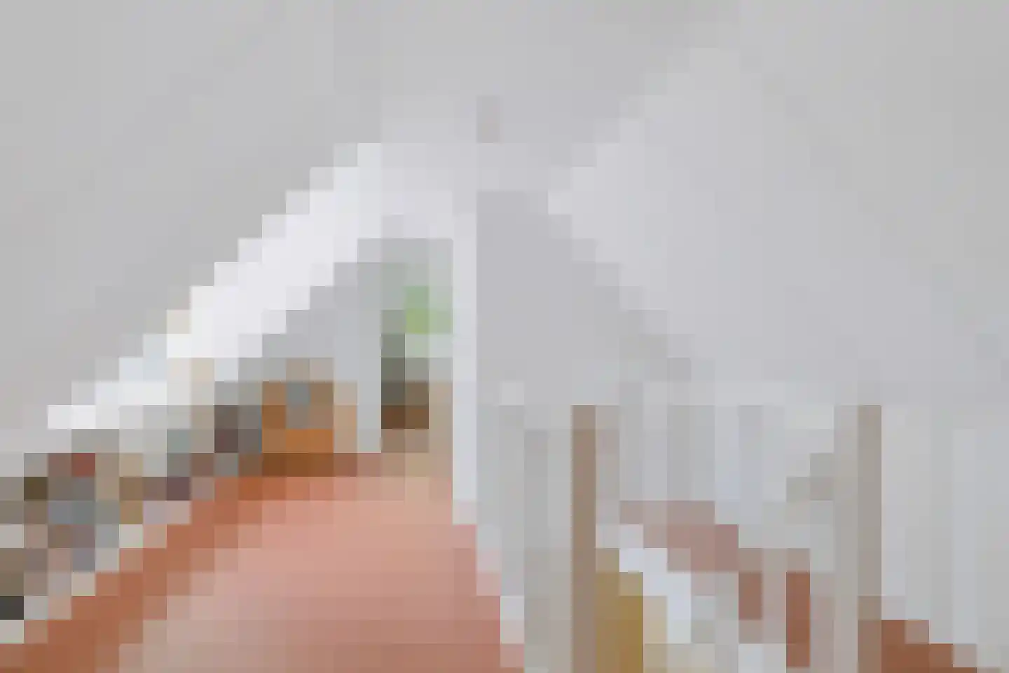 De Elzent 1 Dorst thumbnail 26
