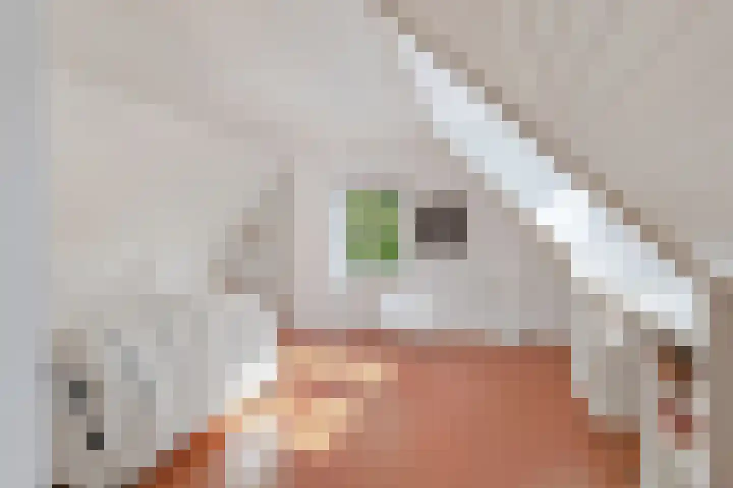 De Elzent 1 Dorst thumbnail 27