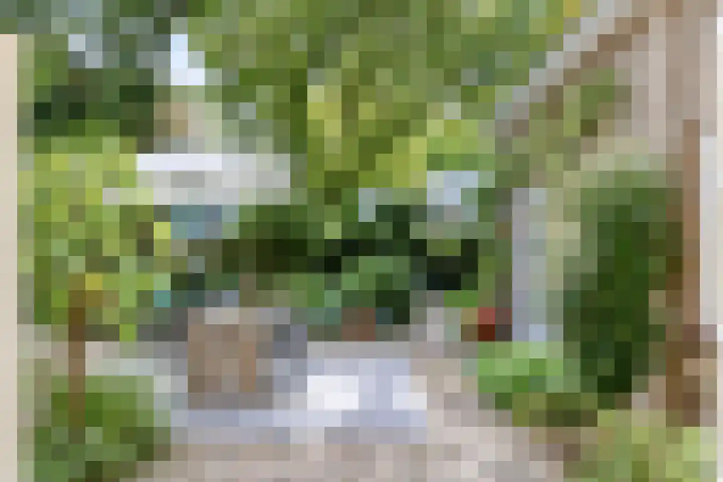 De Elzent 1 Dorst thumbnail 34