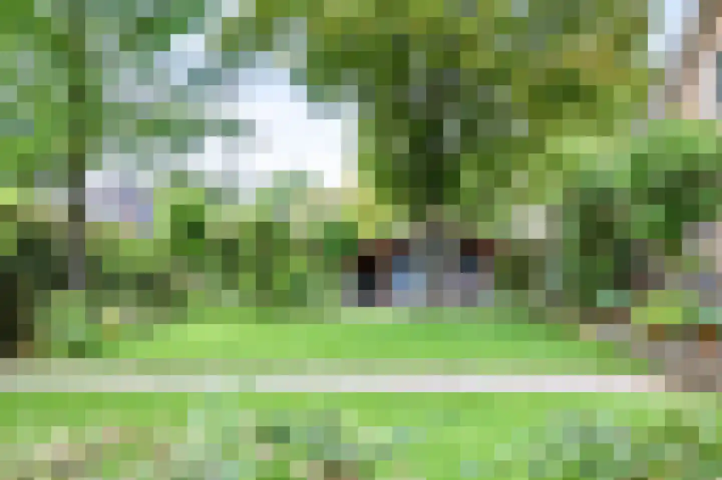 De Elzent 1 Dorst thumbnail 35