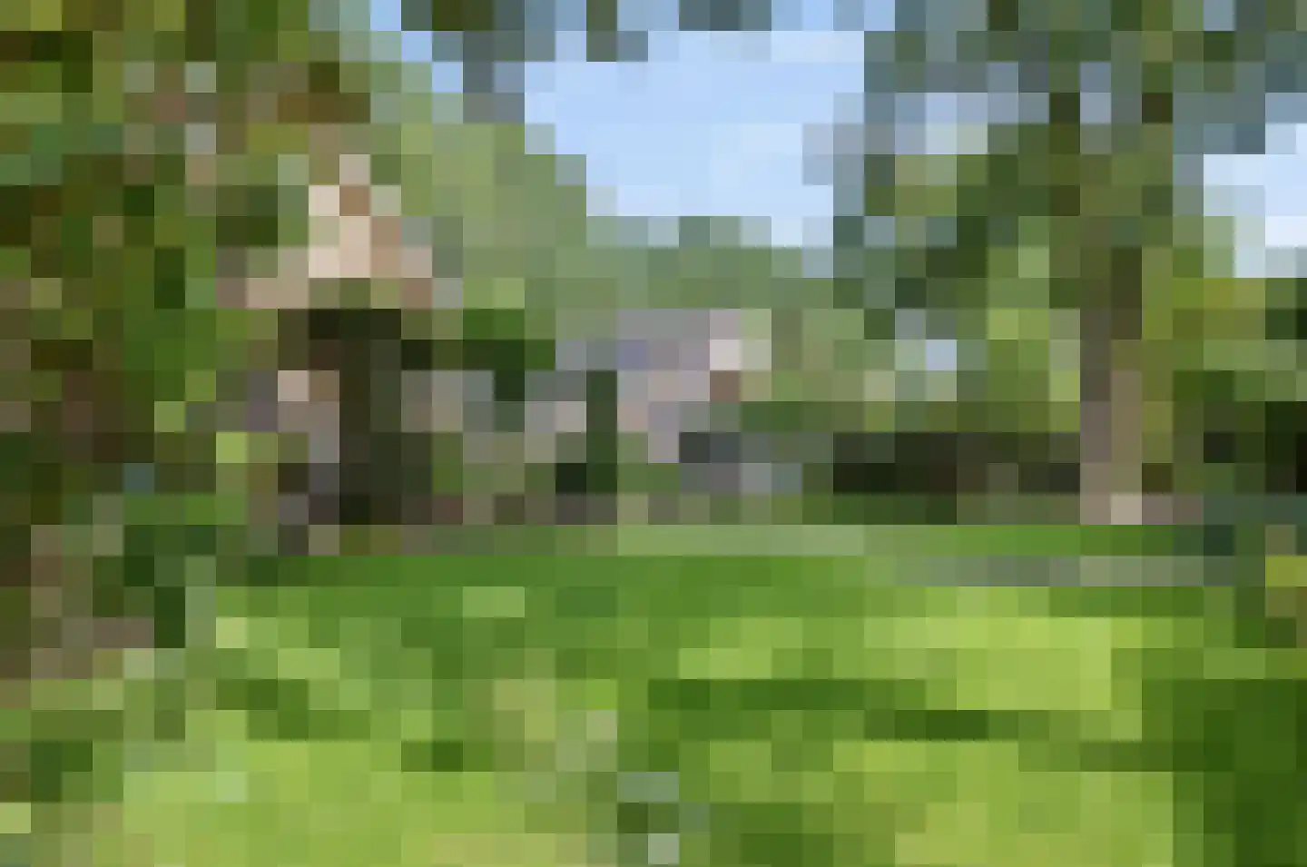 De Elzent 1 Dorst thumbnail 36