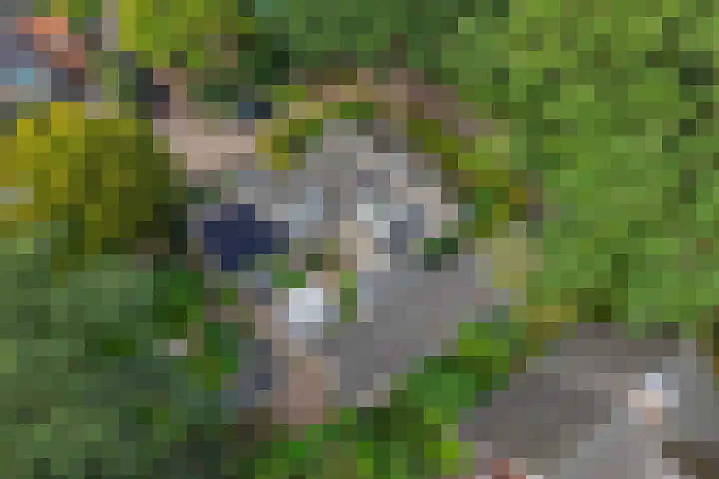 De Elzent 1 Dorst thumbnail 39