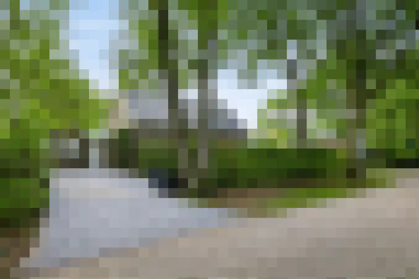 De Elzent 1 Dorst thumbnail 41