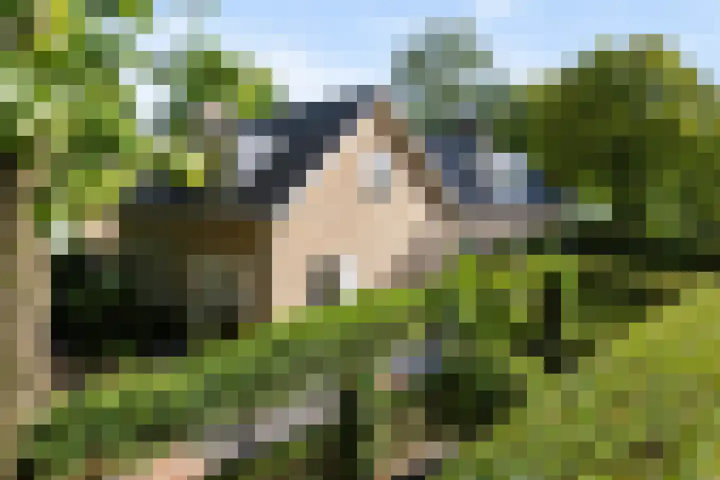 De Elzent 1 Dorst thumbnail 42