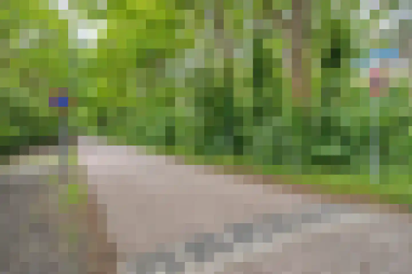 De Elzent 1 Dorst thumbnail 43
