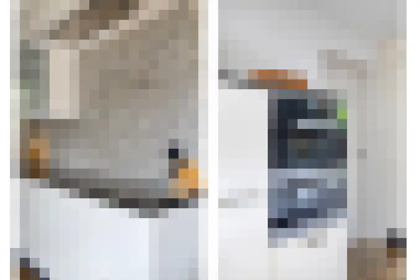De Elzent 12 Dorst thumbnail 13