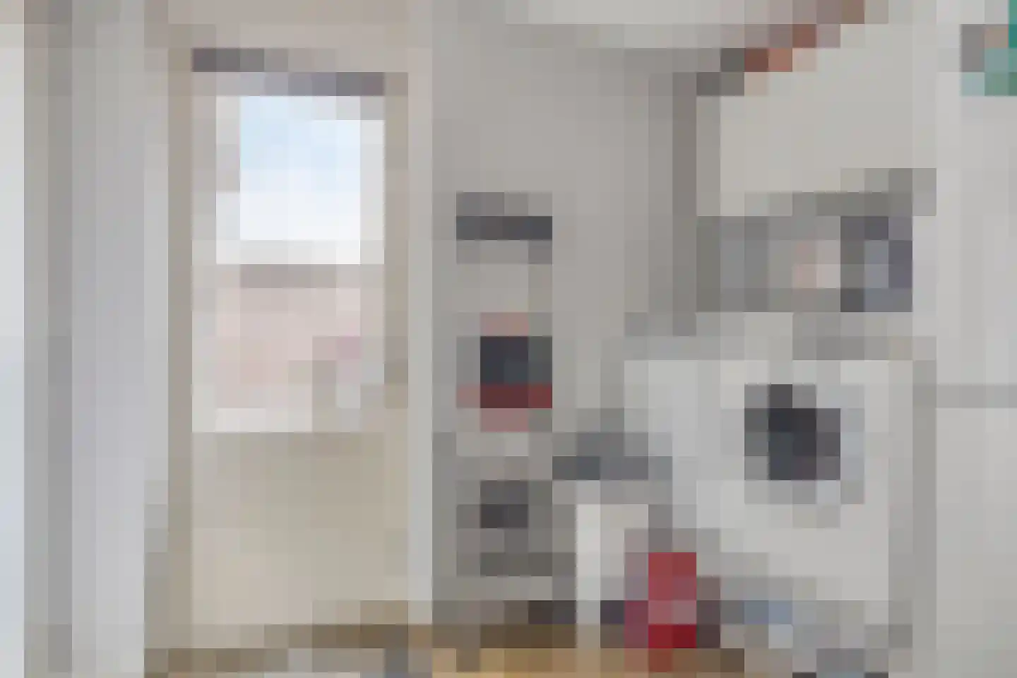 De Elzent 12 Dorst thumbnail 15