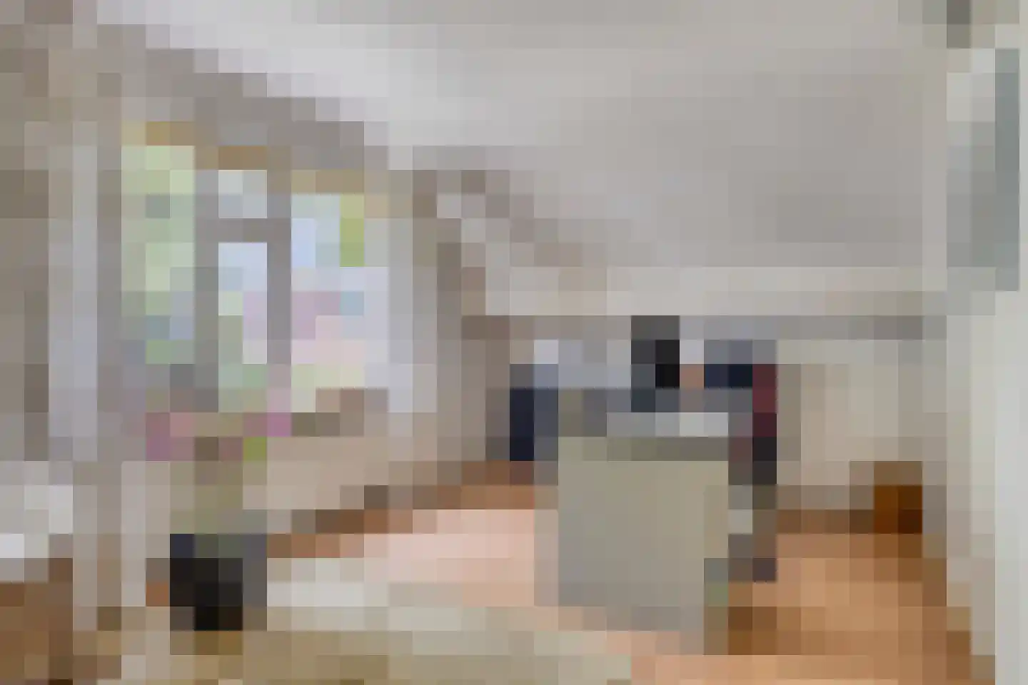 De Elzent 12 Dorst thumbnail 23