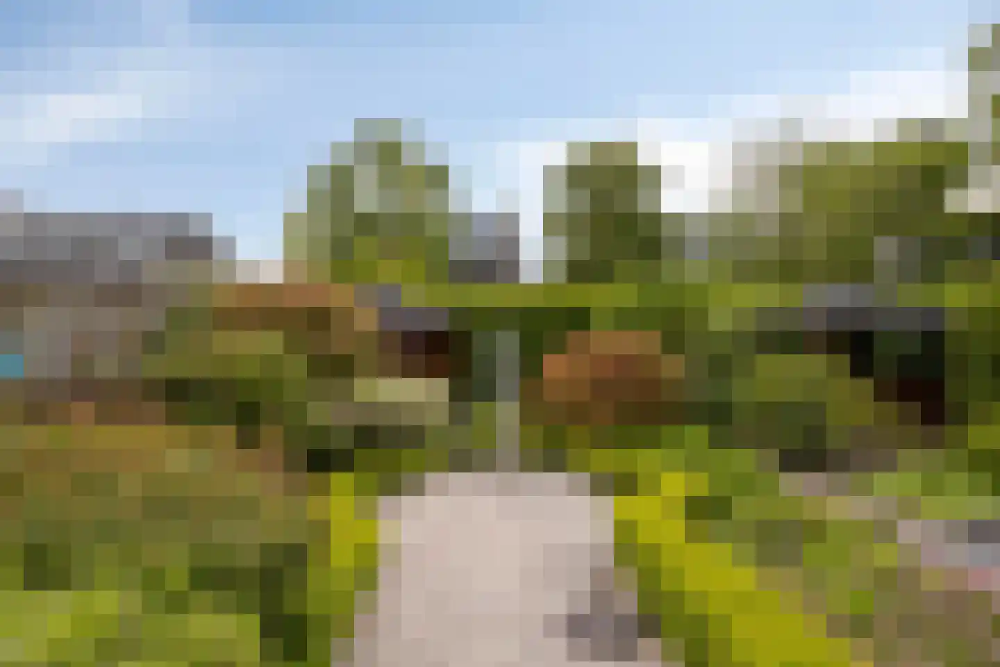 De Elzent 12 Dorst thumbnail 31