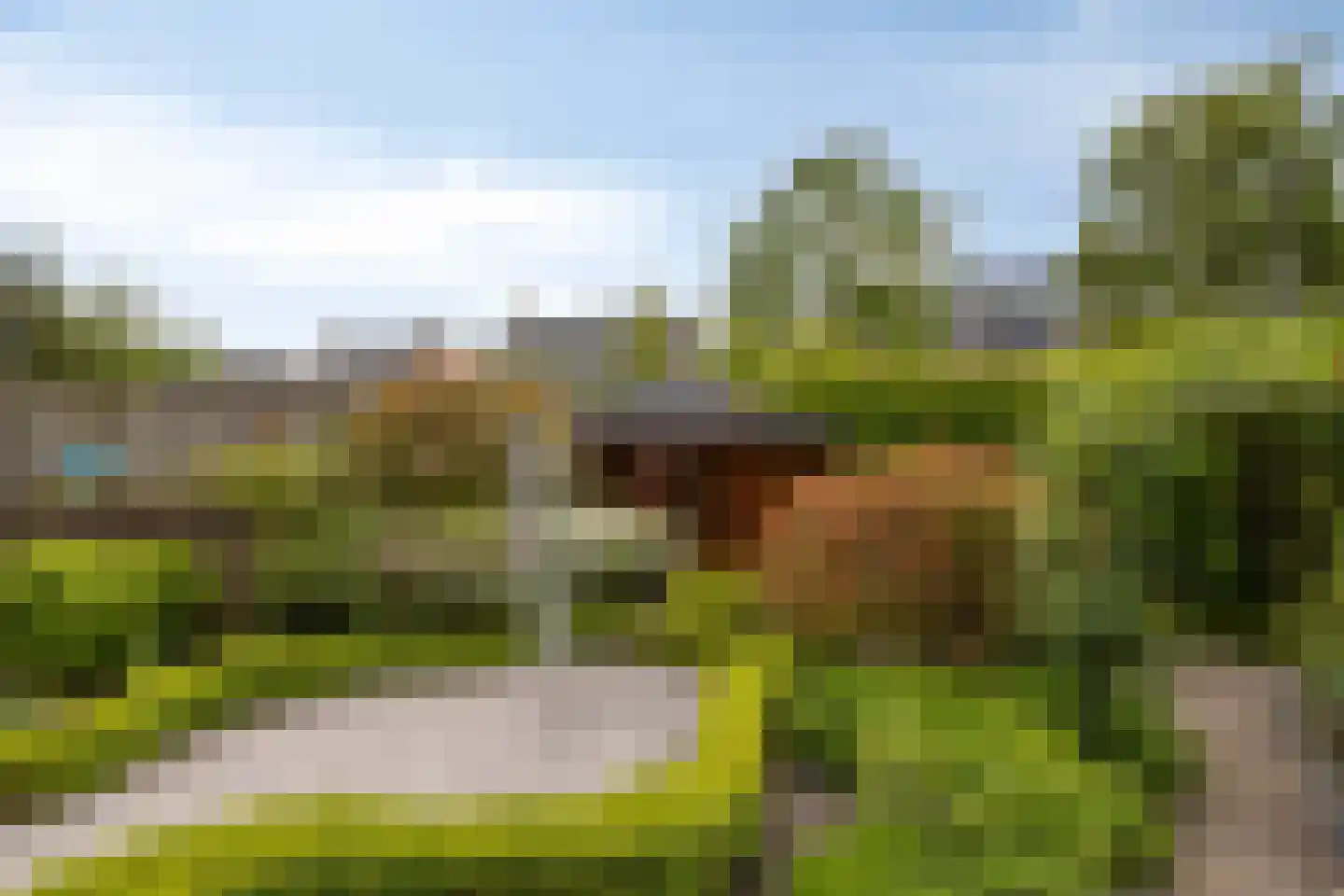 De Elzent 12 Dorst thumbnail 32